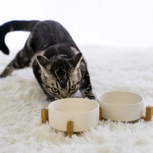 Ceramics Dog Bowl with Wood Stand