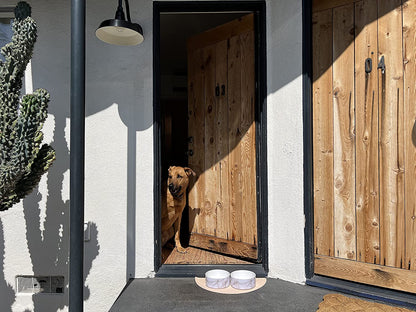 Dog Food Mat