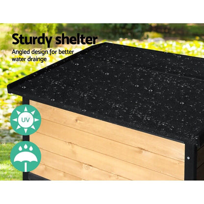Dog Kennel