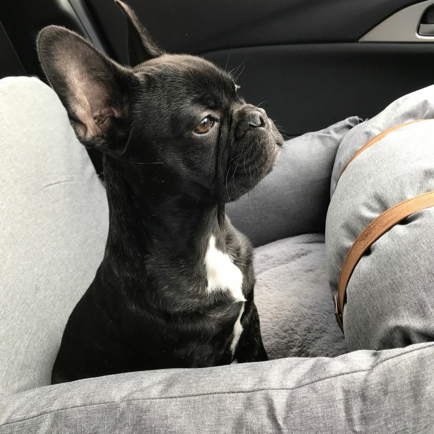 Fur baby car seat
