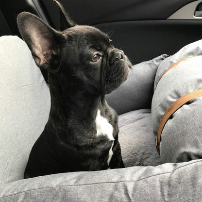 Fur baby car seat