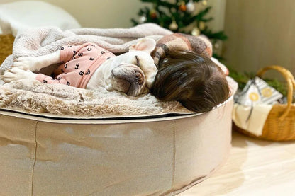 Pet Lounge Dog Bed